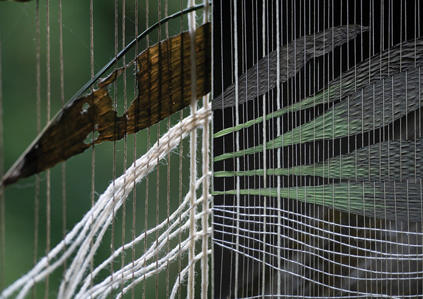 Weaving with Weeds