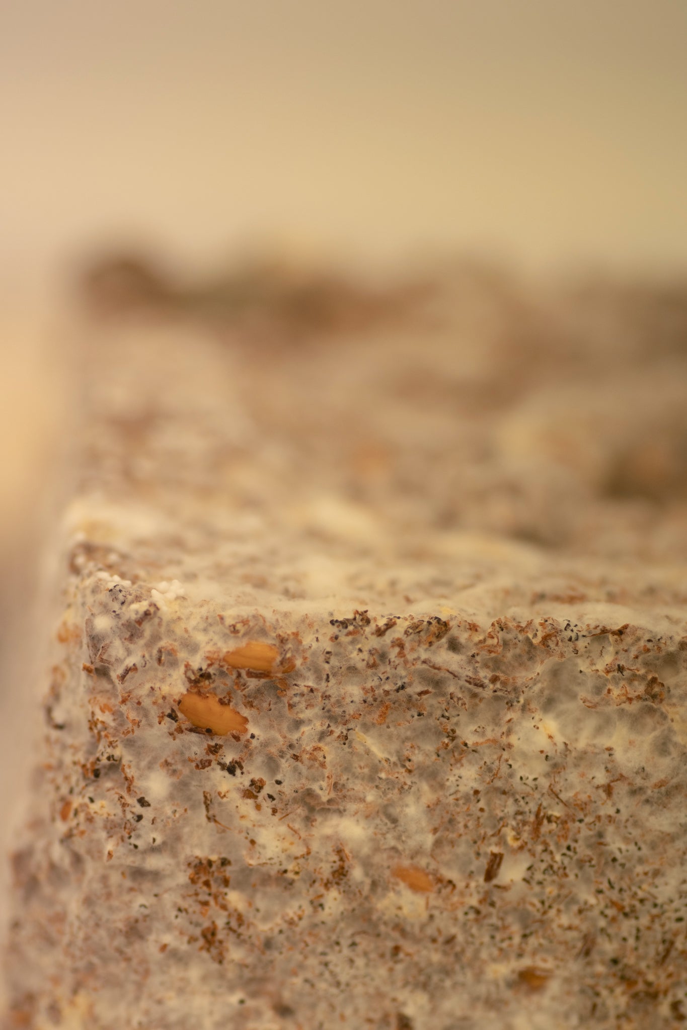 Mycelium Materials