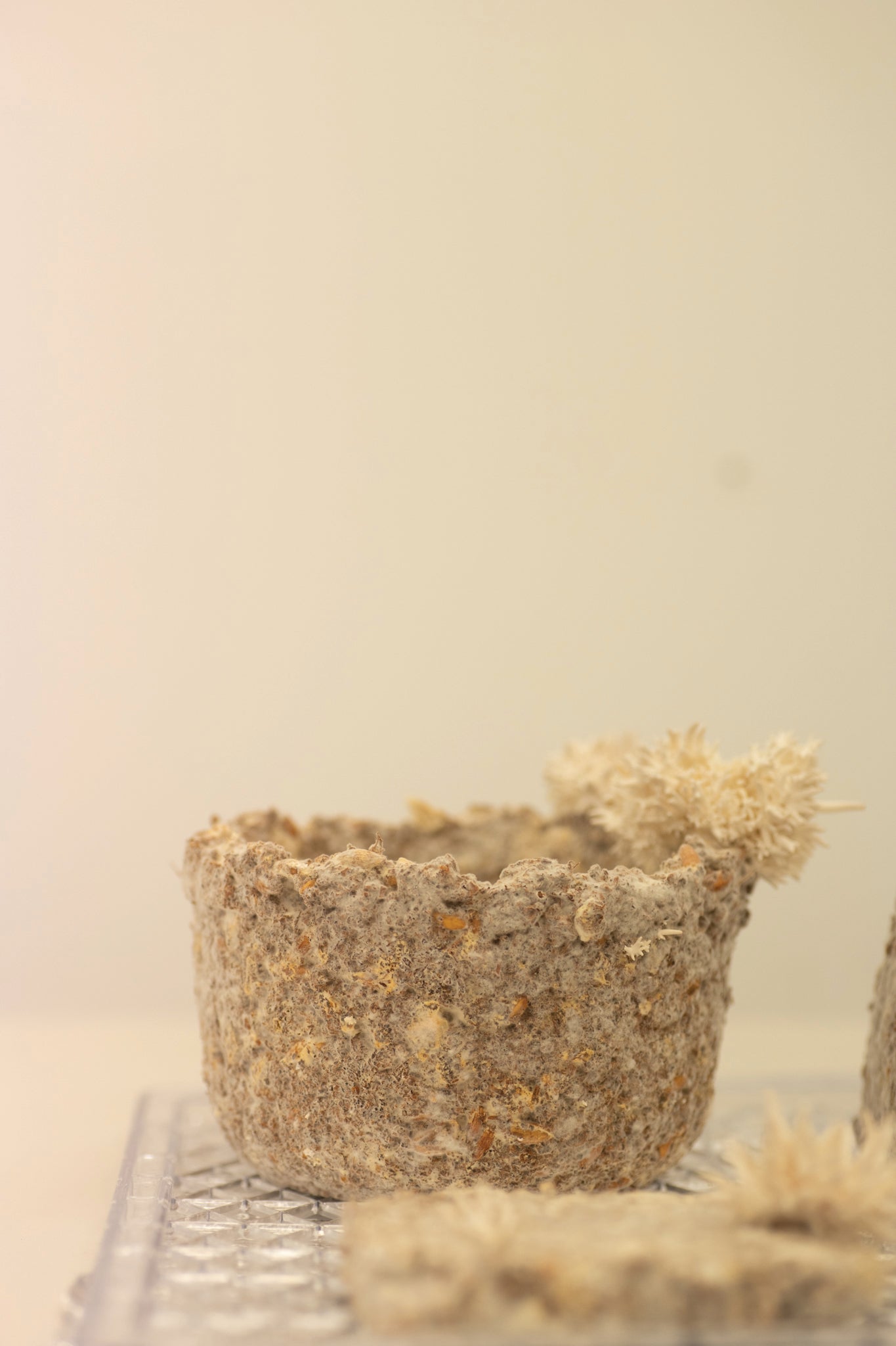 Mycelium Materials