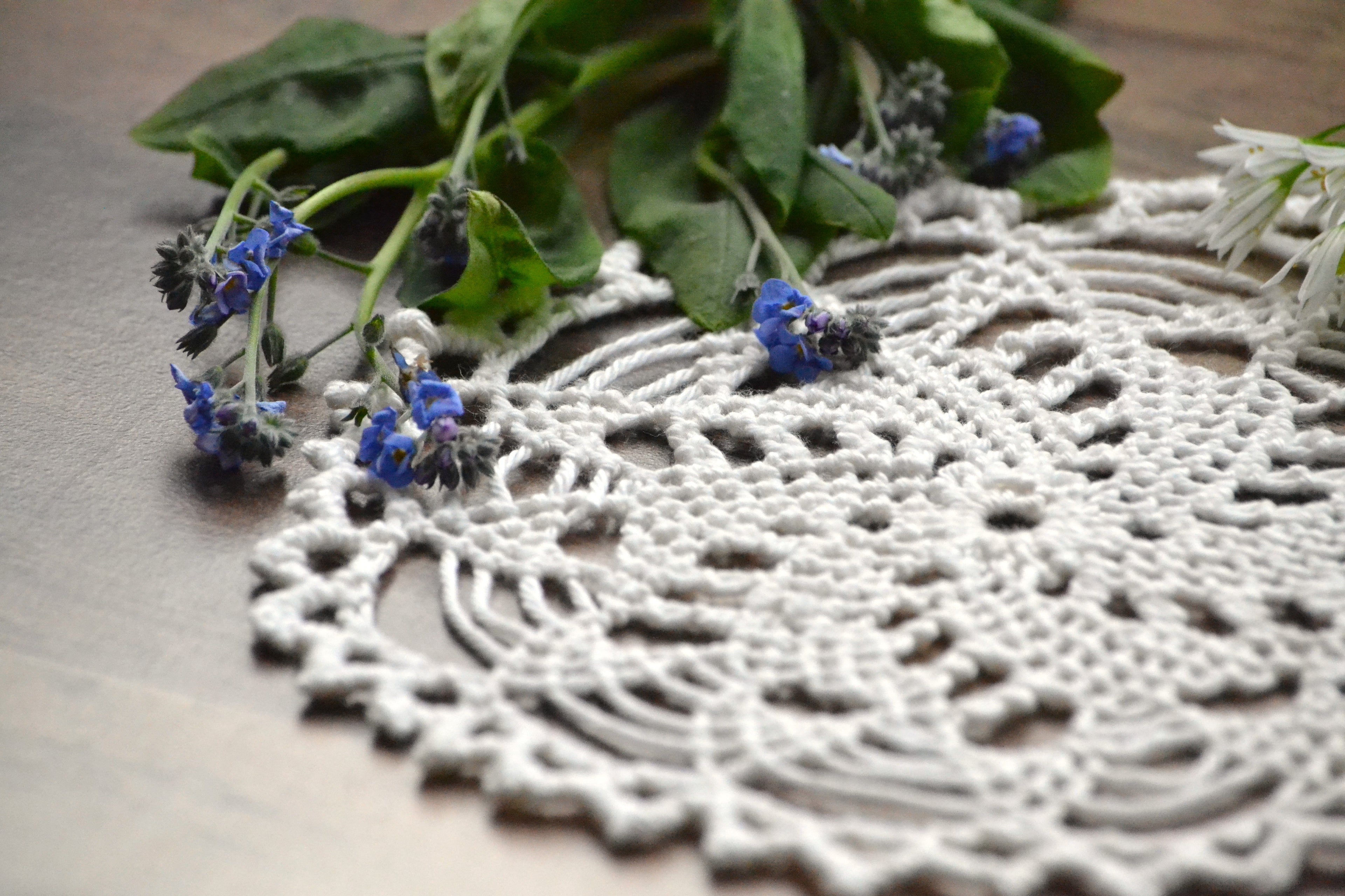 Armenian Needlelace