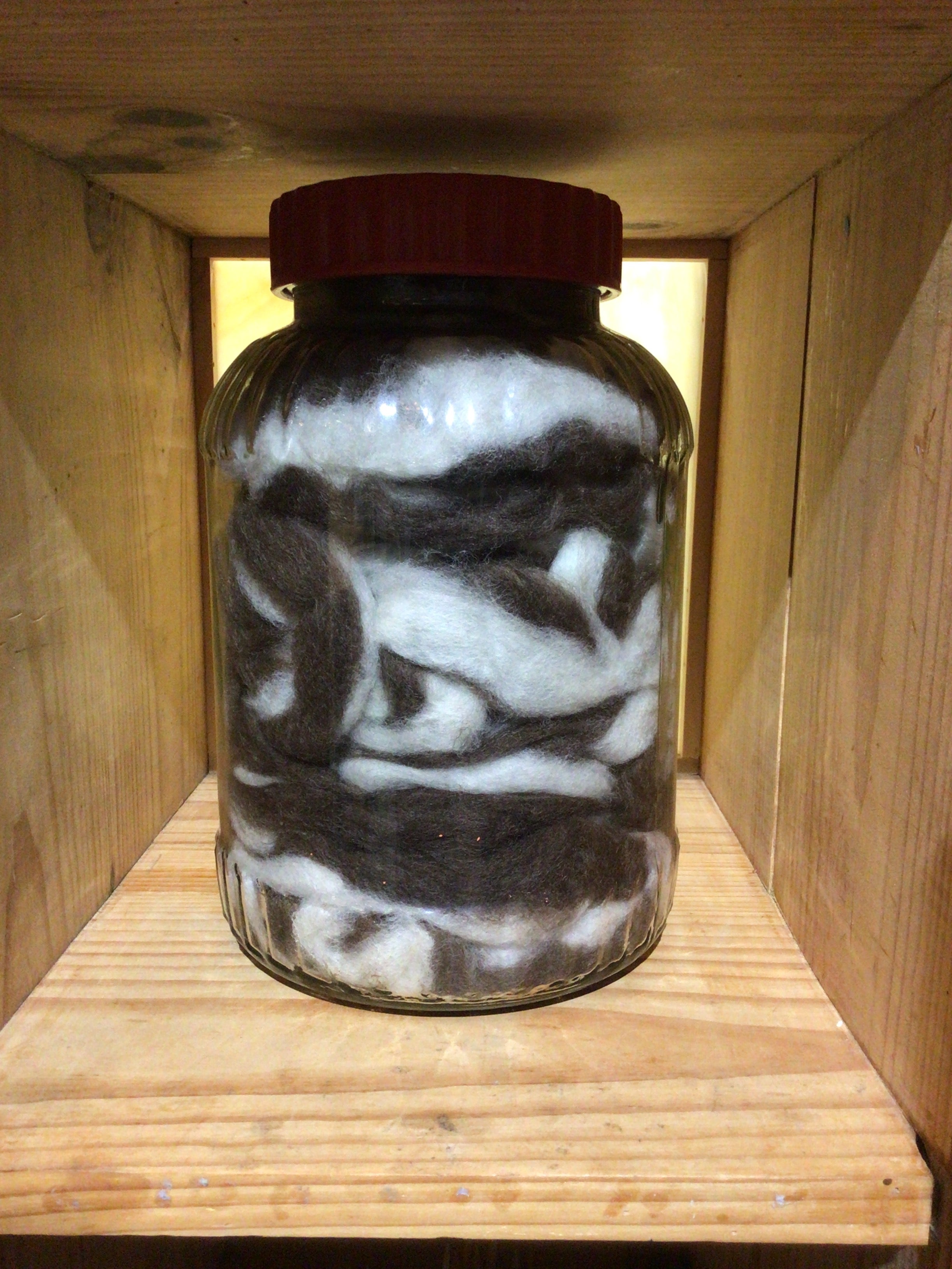 Carded Wool - Brown and White
