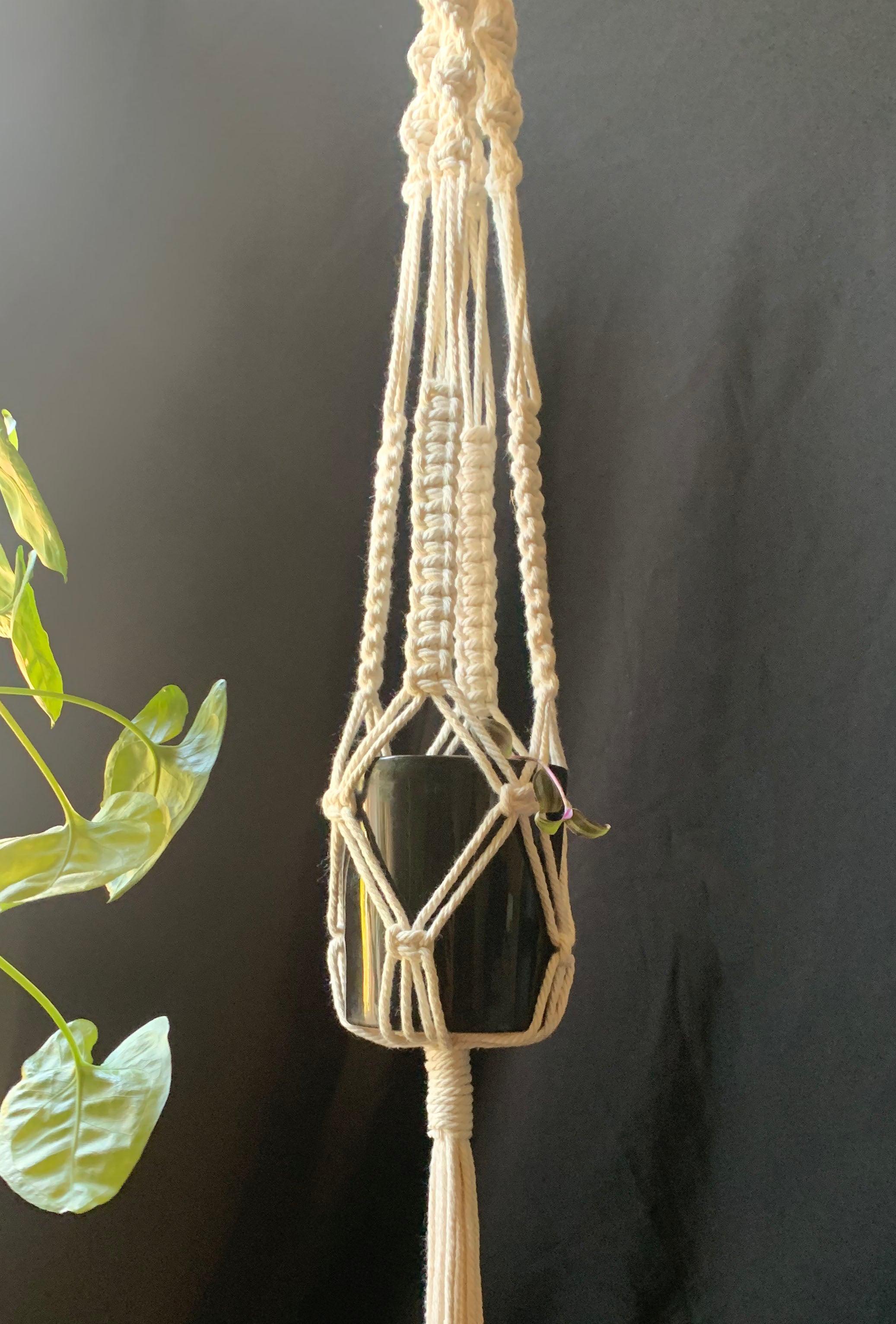 Macrame Plant Hangers