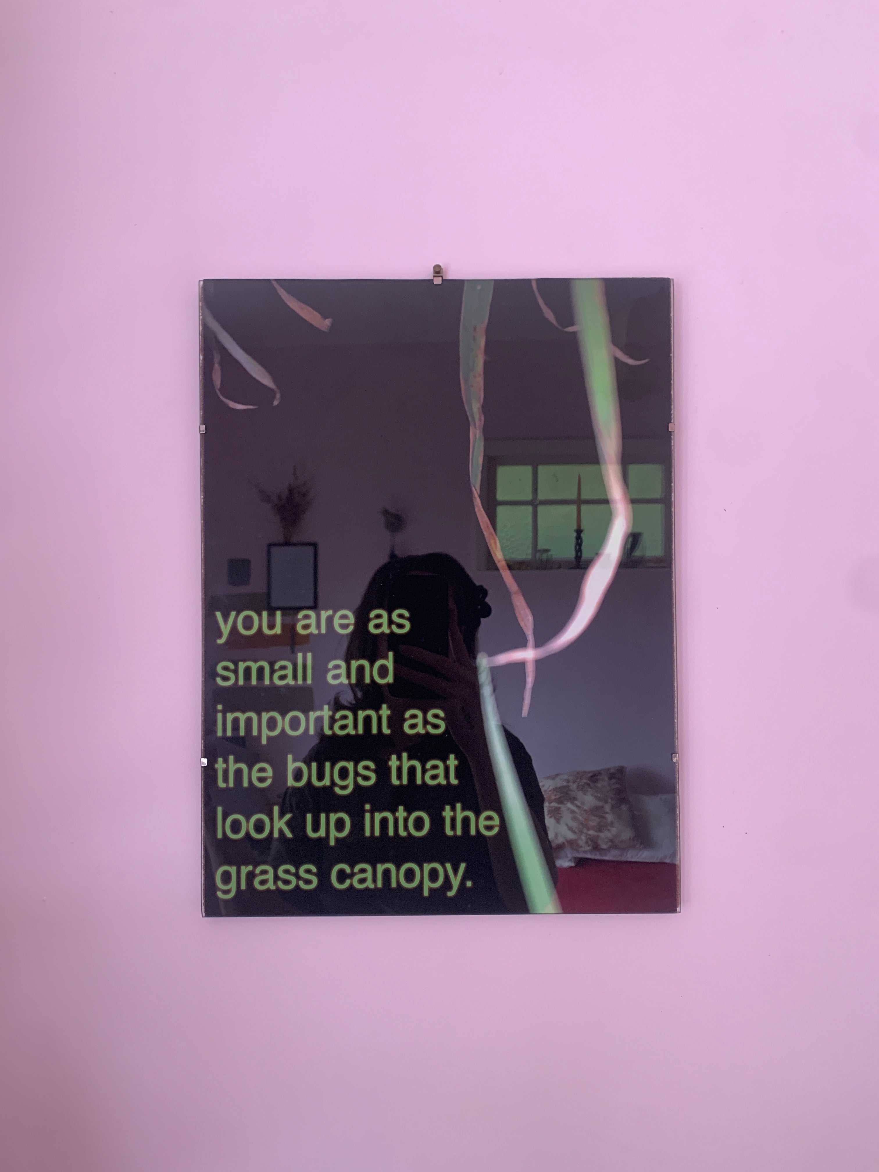 Grass Canopy Art Print