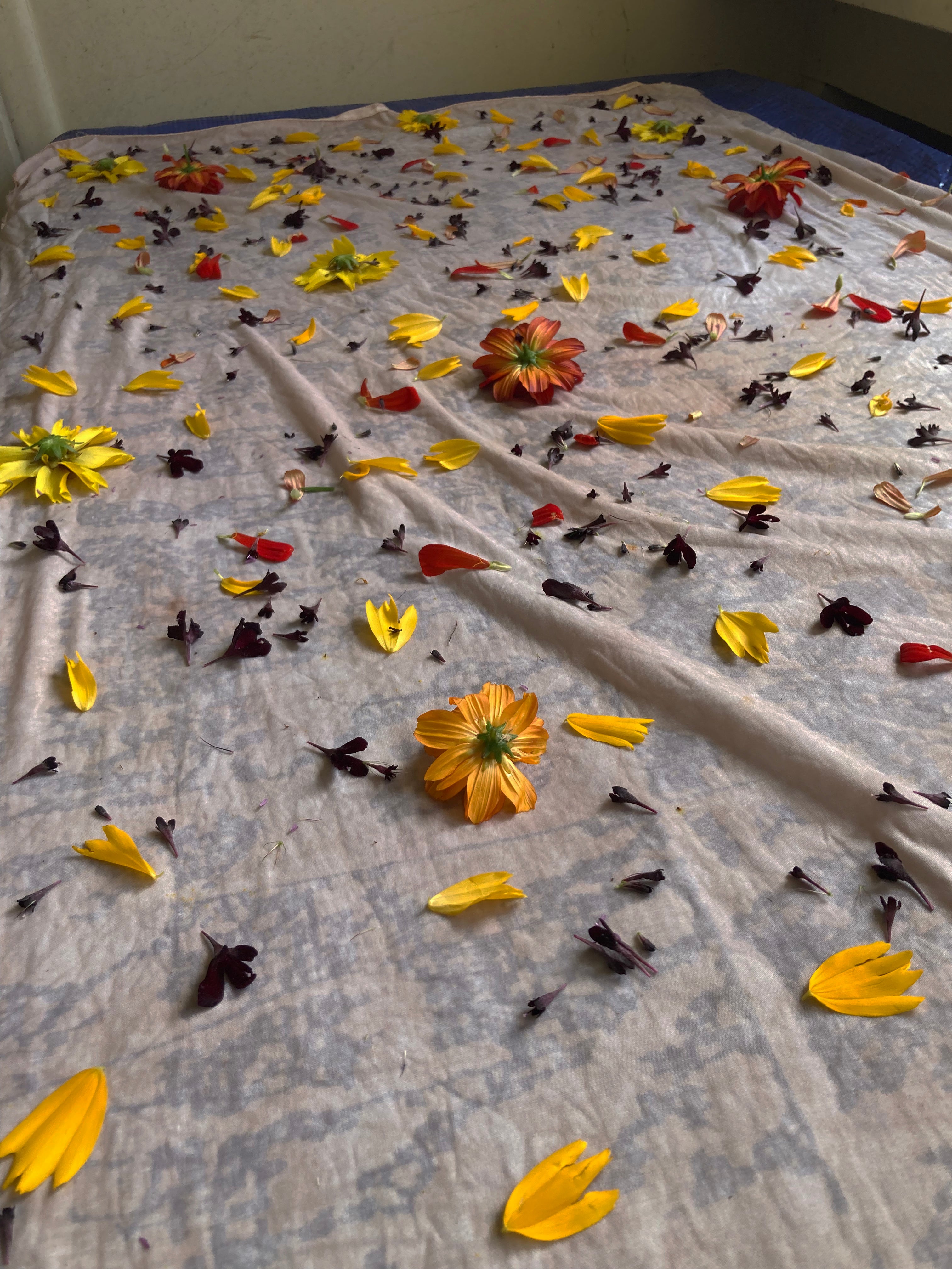 Free Workshop Day Sign Ups