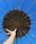 Willow Weaving 101