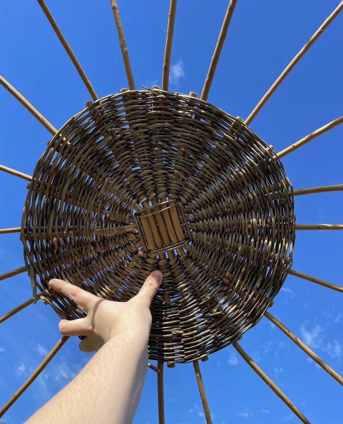 Willow Weaving 101