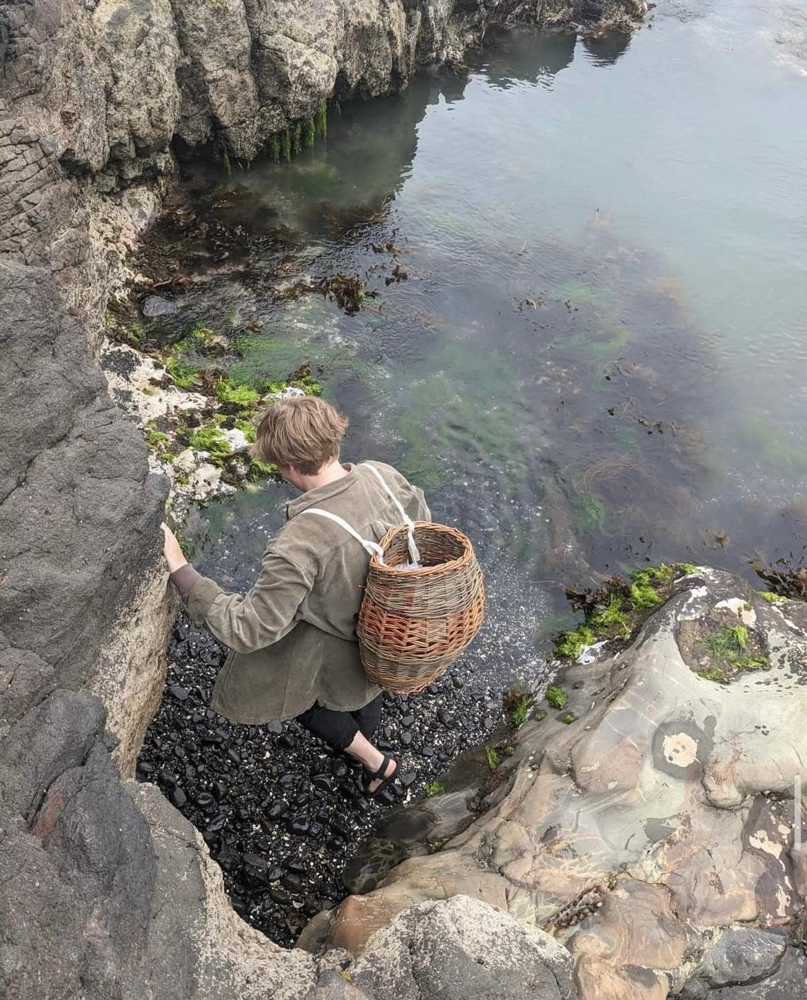 Willow Weaving 101