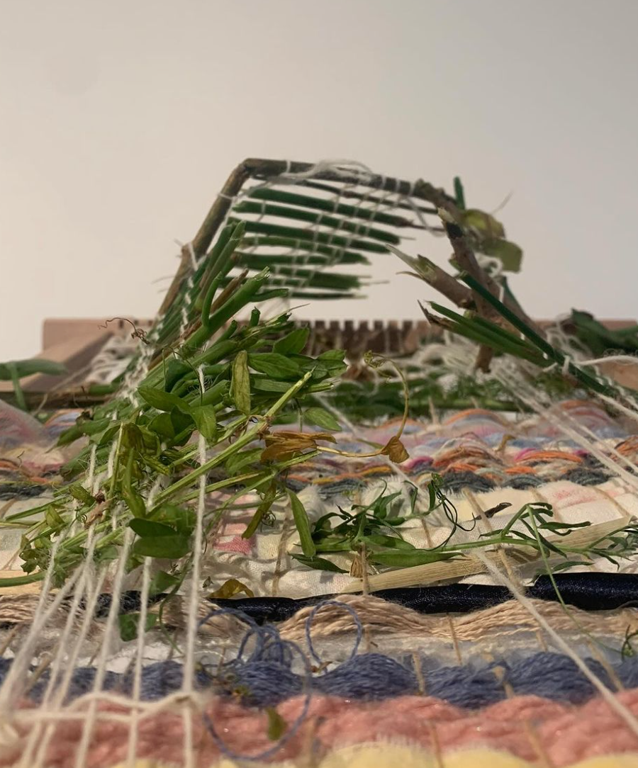 Weaving with Weeds