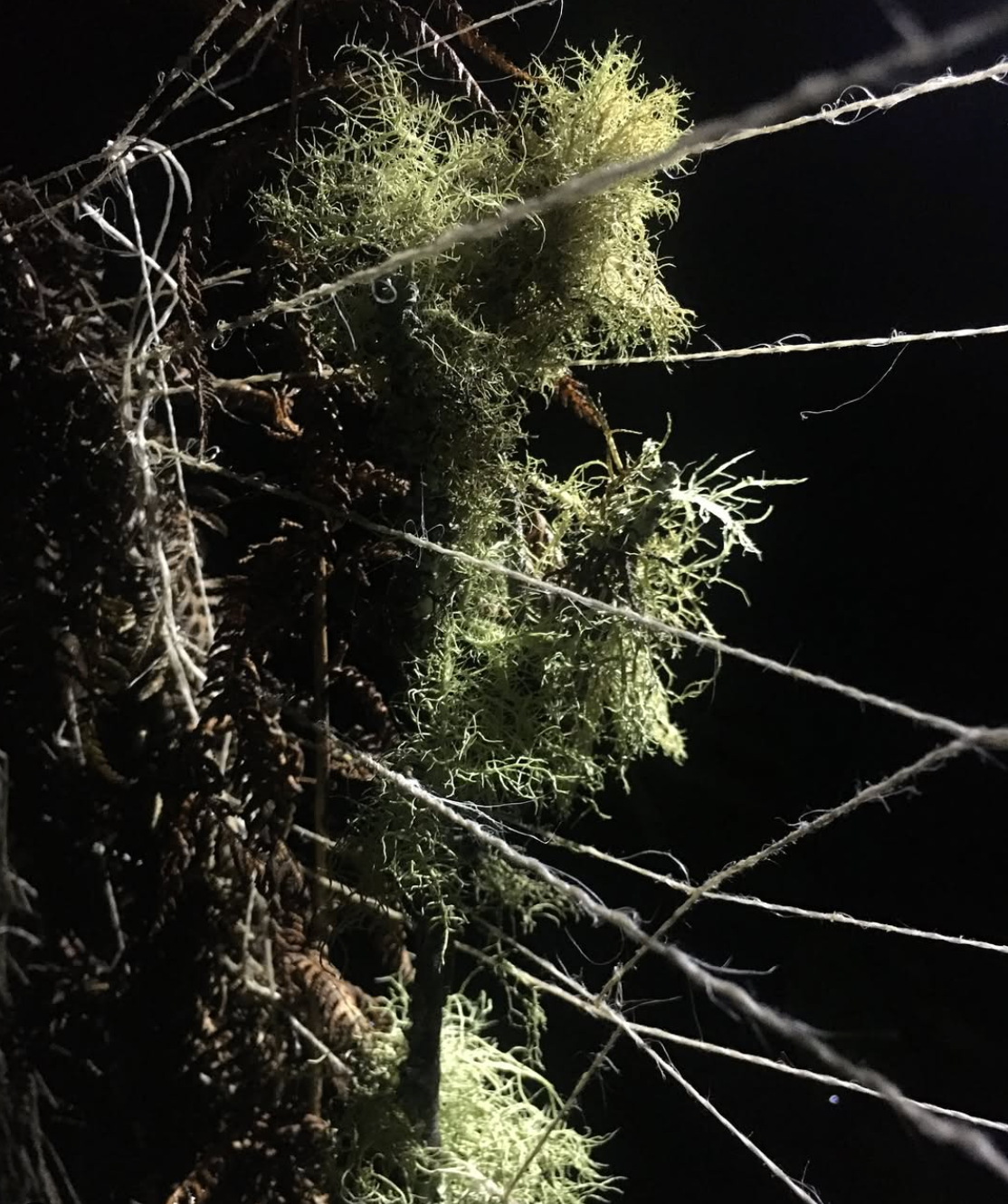 Weaving with Weeds and Wool