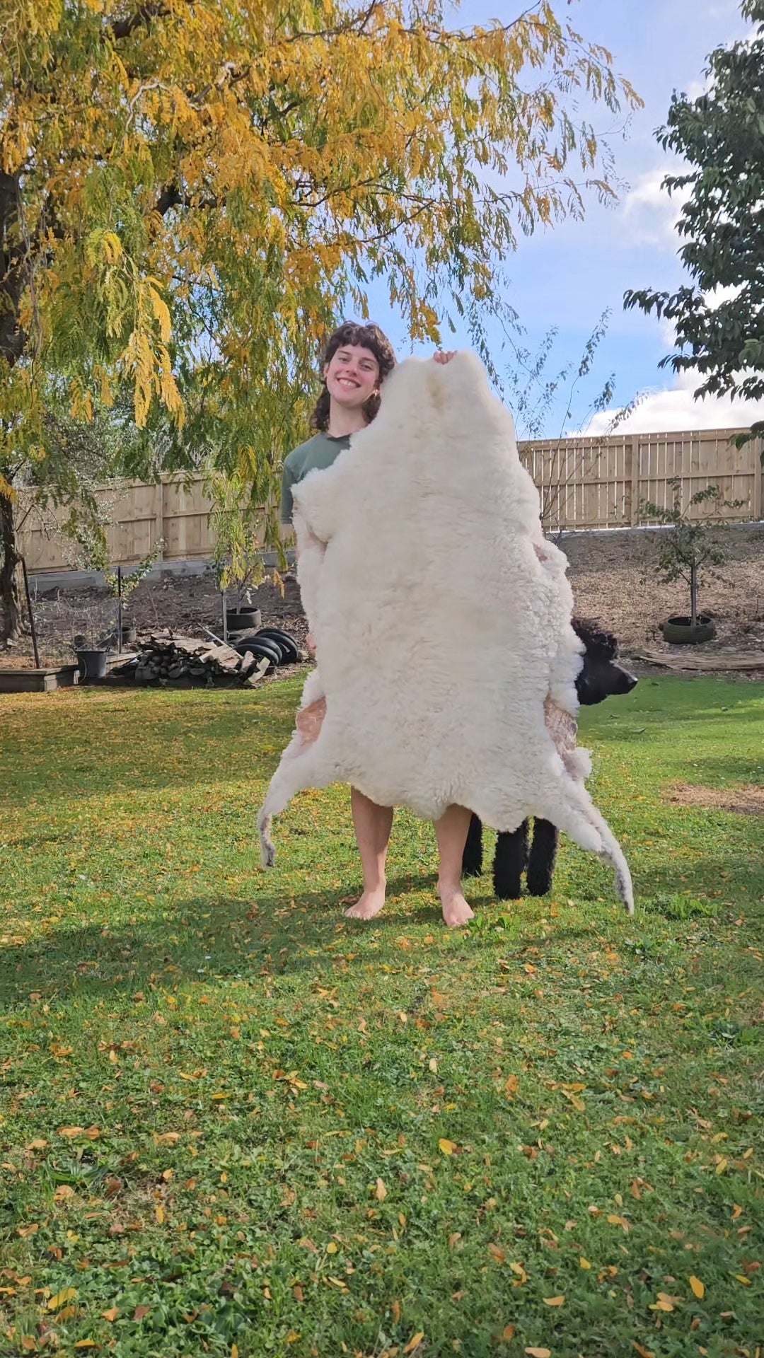 Sheep Hide Tanning